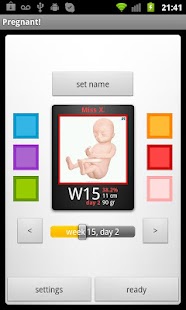 Download Pregnant! Widget apk