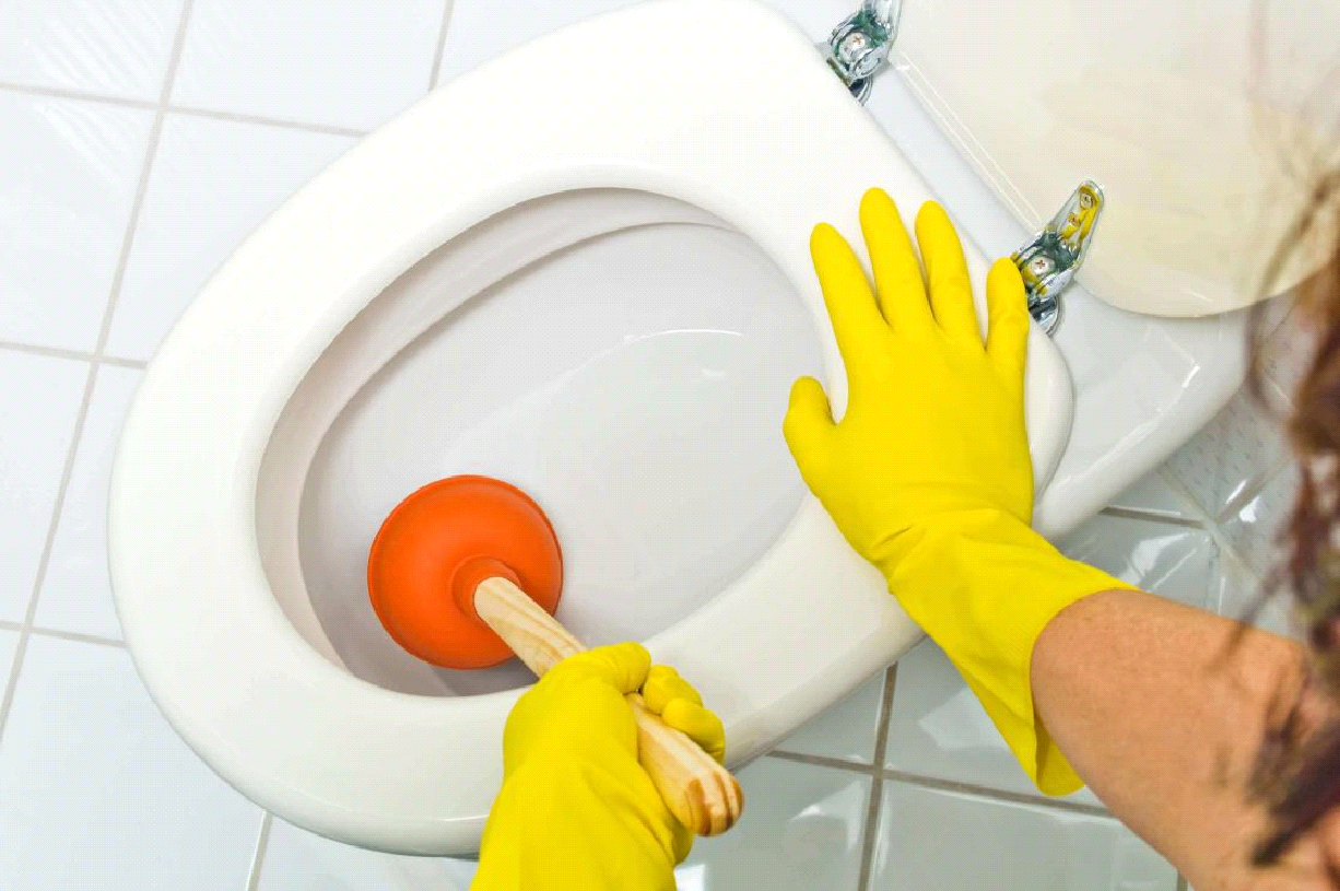 unblock a toilet