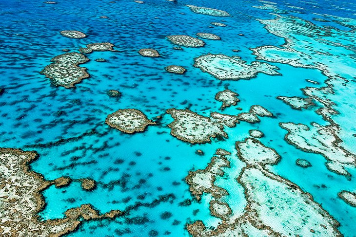 Great barrier reef marine park