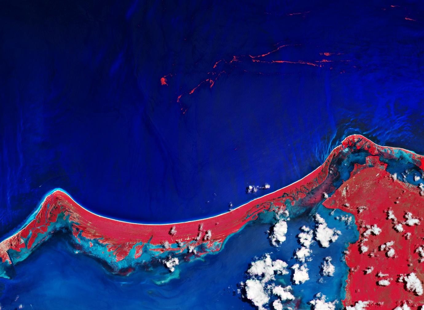 ESA - Holbox Island, Mexico