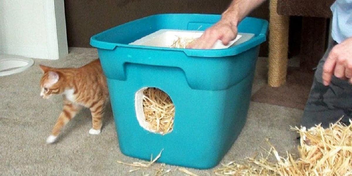 DIY Feral Cat Shelter