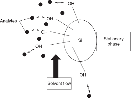 Mechanism of the solvent flow through the stationary phase