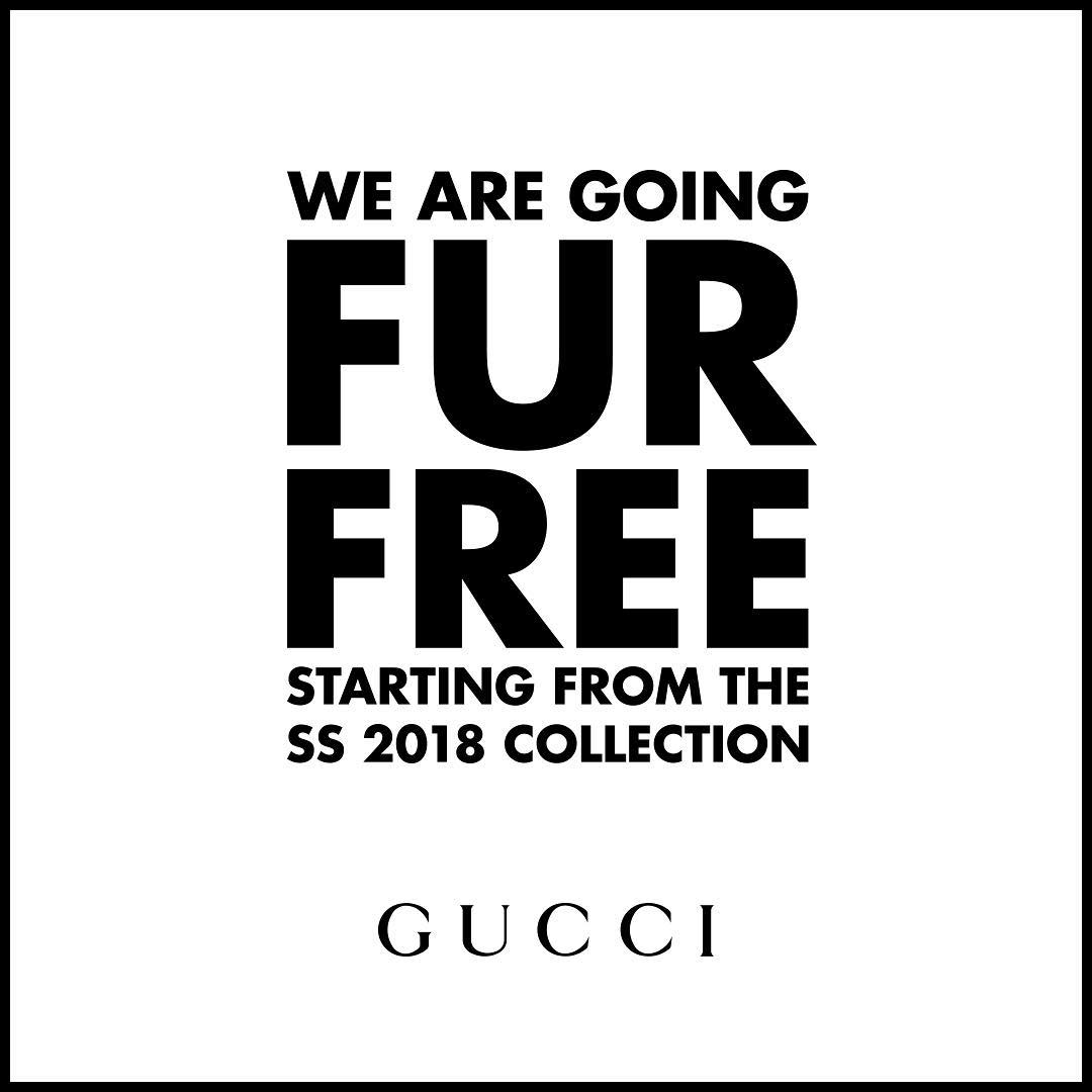 Resultado de imagen para gucci fur free