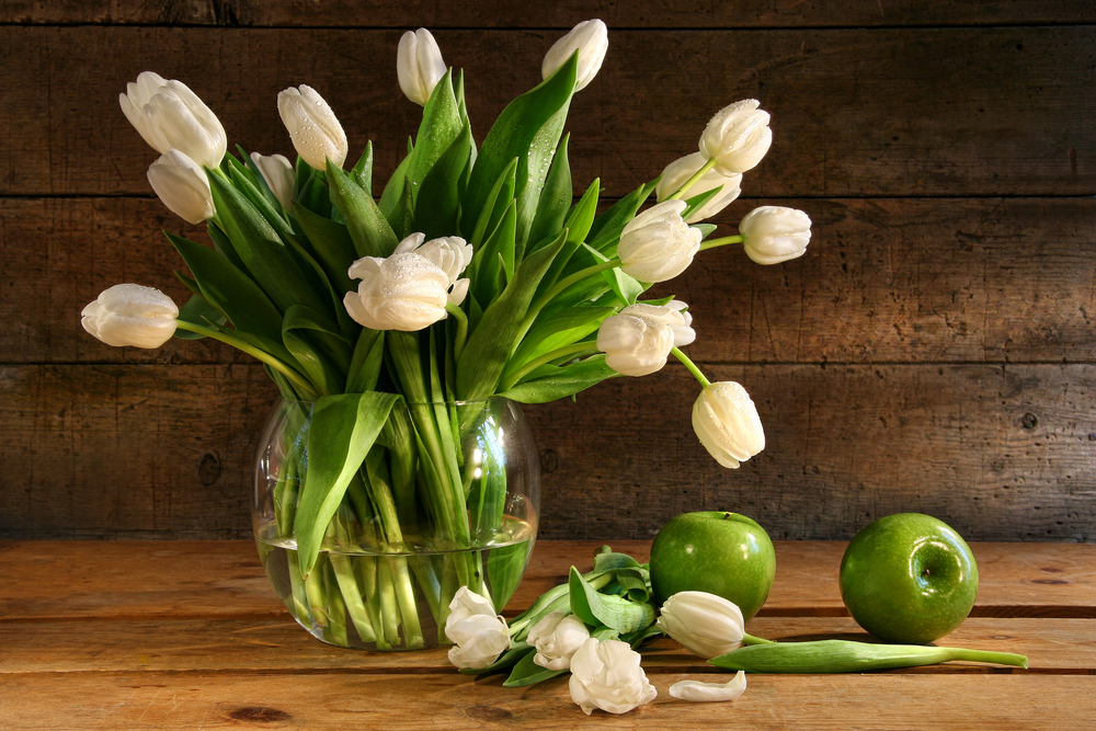 Hoa tulip là biểu tượng của tình yêu và sự hoàn mỹ. Hãy cùng tận hưởng sự tinh khôi và tươi trẻ của hoa tulip qua hình ảnh tuyệt đẹp đã được chụp và chia sẻ trên trang của chúng tôi.