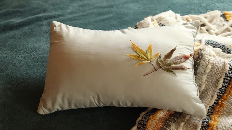 Deux feuilles de cannabis sur un oreiller - CBD INFO