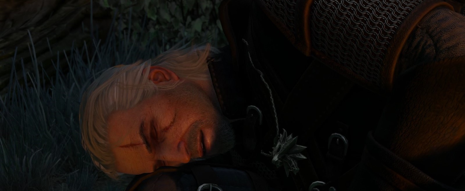 Geralt sleeping