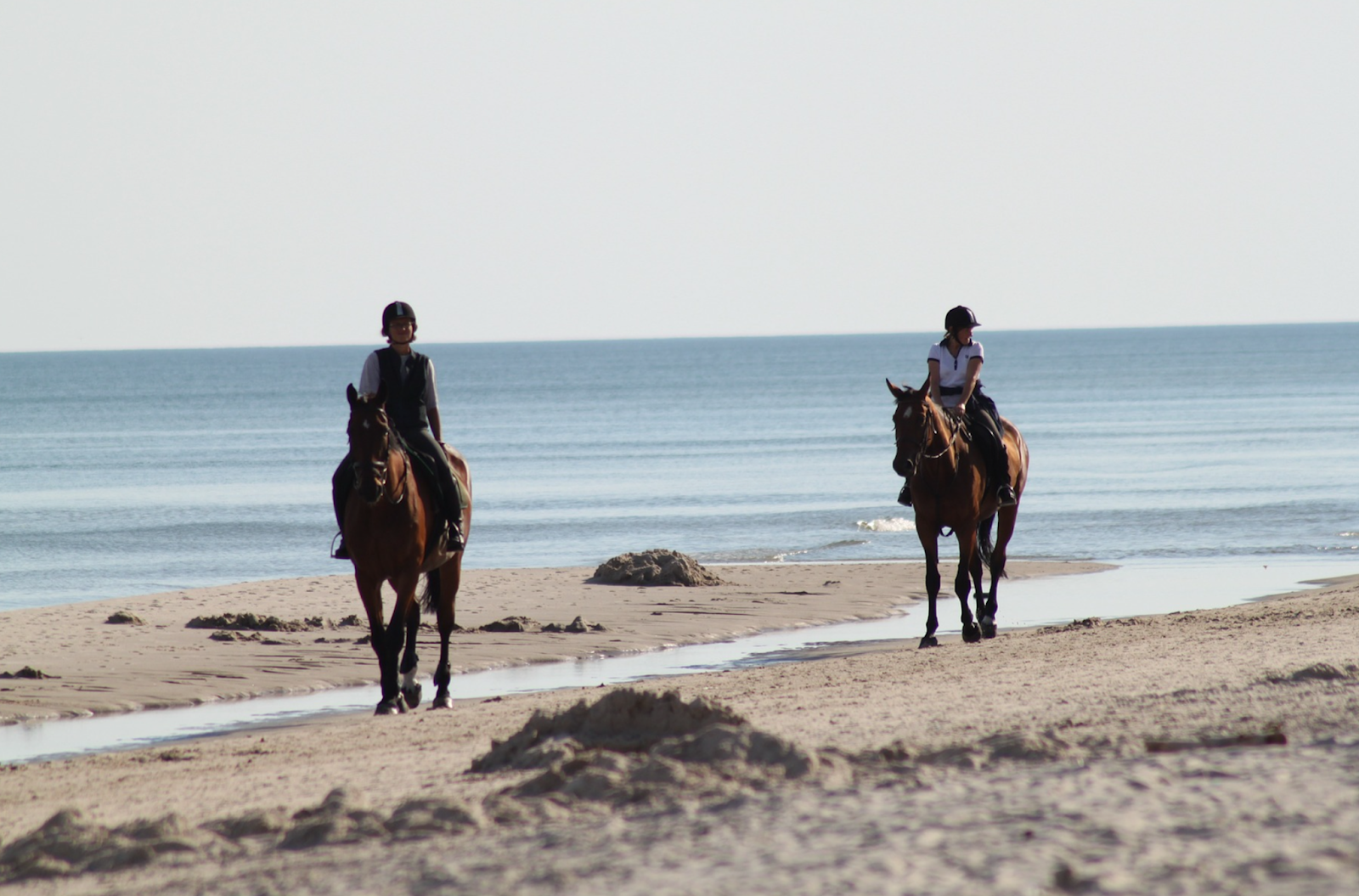 2 horses riding across a beach
