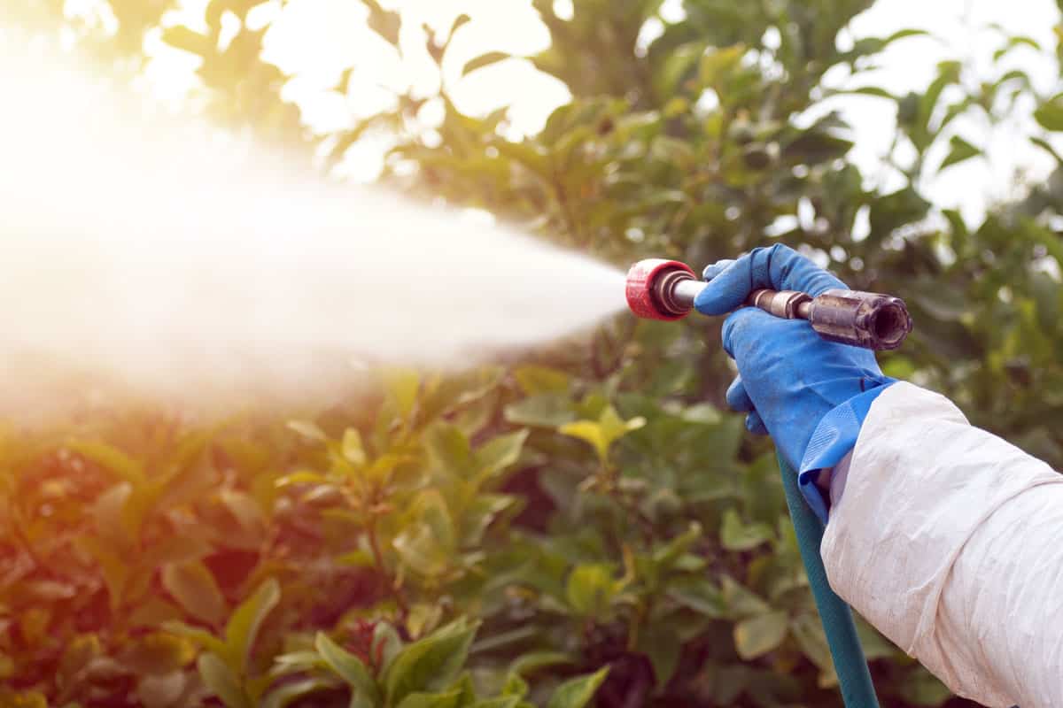 Foliar Spray