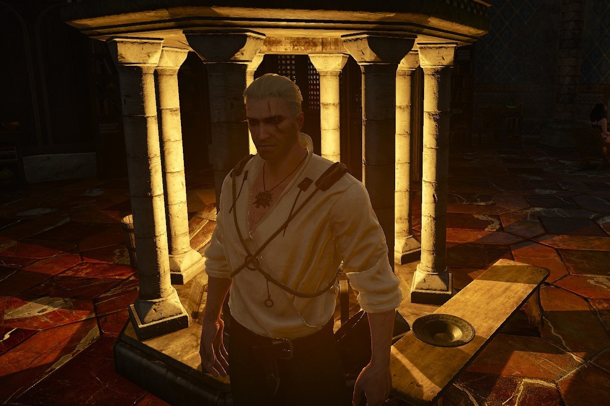 Geralt standing backlit