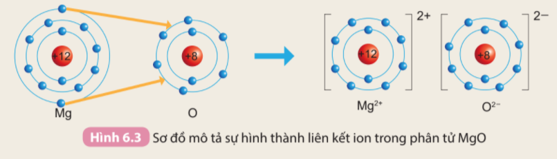 Câu hỏi trang 37 SGK TN&XH 7 KNTT tập 1