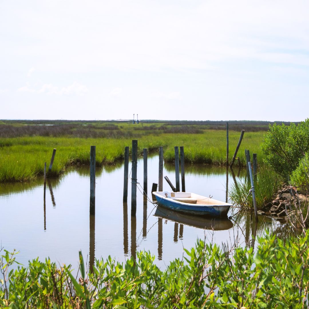 Tangier Island