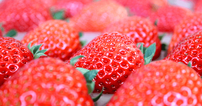 luxury-strawberry-production-brand02