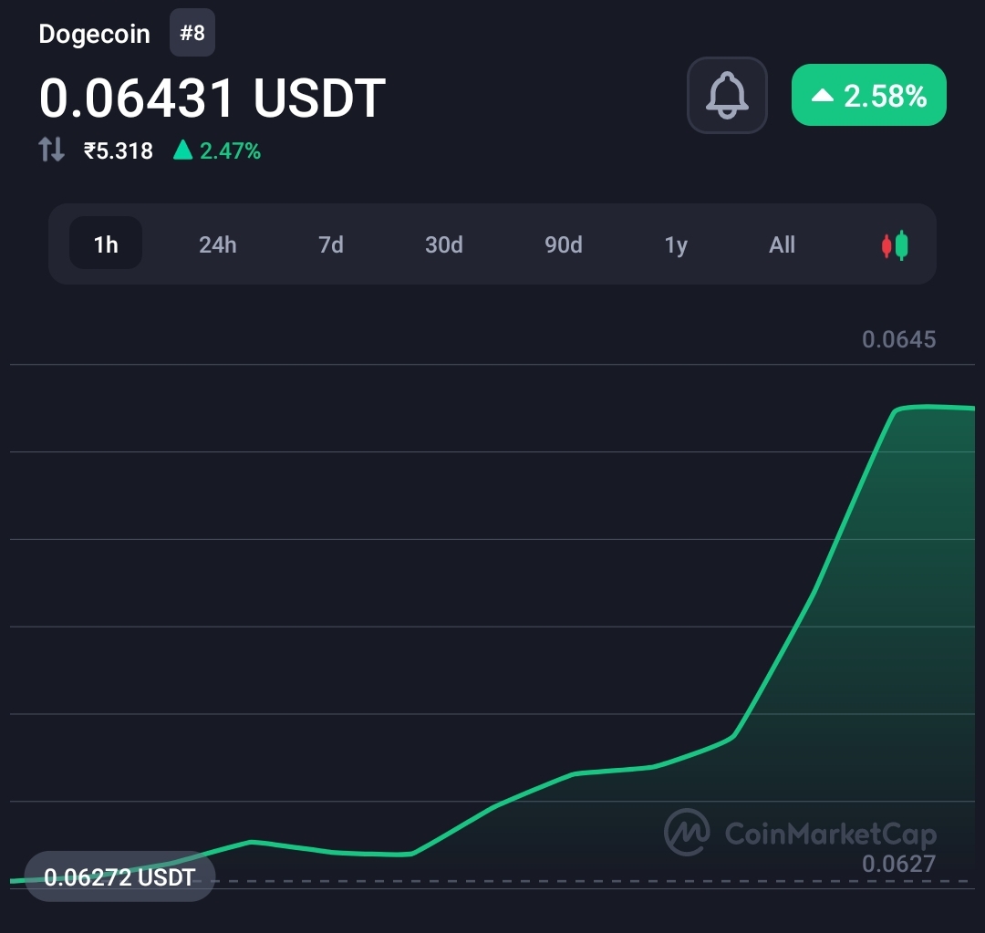 X (Twitter) receives Dogecoin payment licence 5