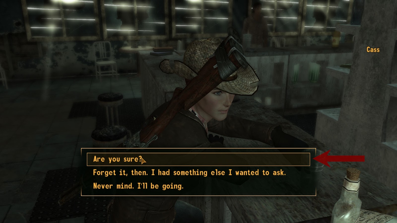 Are you sure? | Fallout: New Vegas