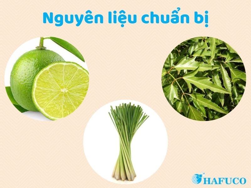 nguyên liệu xông lá đinh lăng