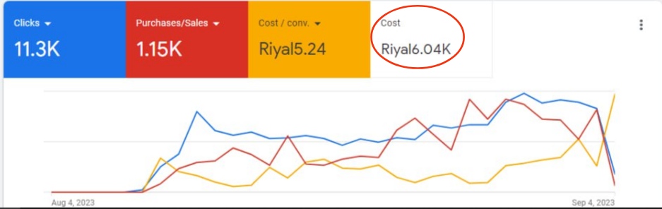 نتيجة الحملات الإعلانية على غوغل ادز google ads