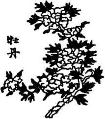 D:\0 wd yedek\acr yedek\1 film indirme\encyclopedia_symbols_roshal\encylopedia_files\000490.jpg