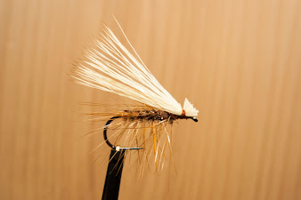 Elk Hair Caddis