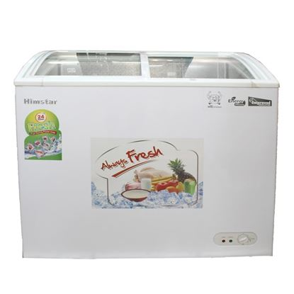 Himstar double door deep freezer