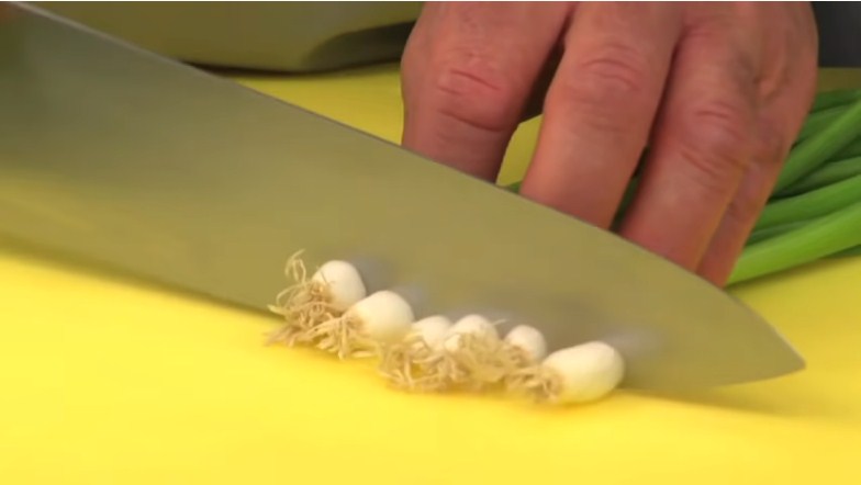 Best Way How to Cut Green Onions
