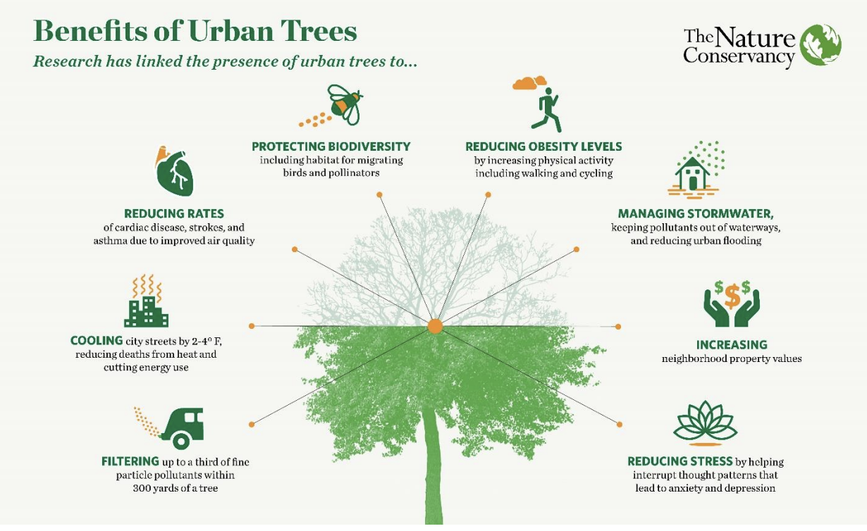 A graphic detailing the benefits of urban trees