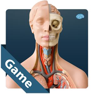 Anatomy Game apk Download