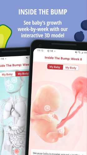 The Bump Pregnancy & Baby Tracker