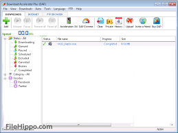 Download Download Accelerator Plus 10.0.6.0 for Windows - Filehippo.com