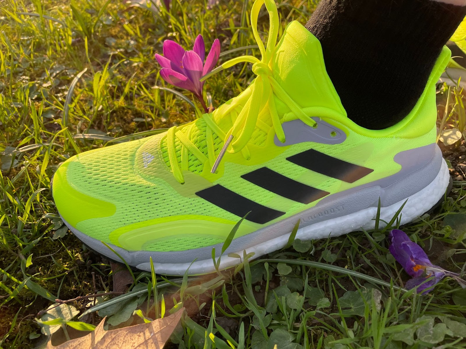 Road Trail Run: Testbericht: adidas Solarboost 3 - Ein stabiler Schuh!  (German)