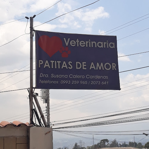 Opiniones de Veterinaria Patitas de Amor en Quito - Veterinario