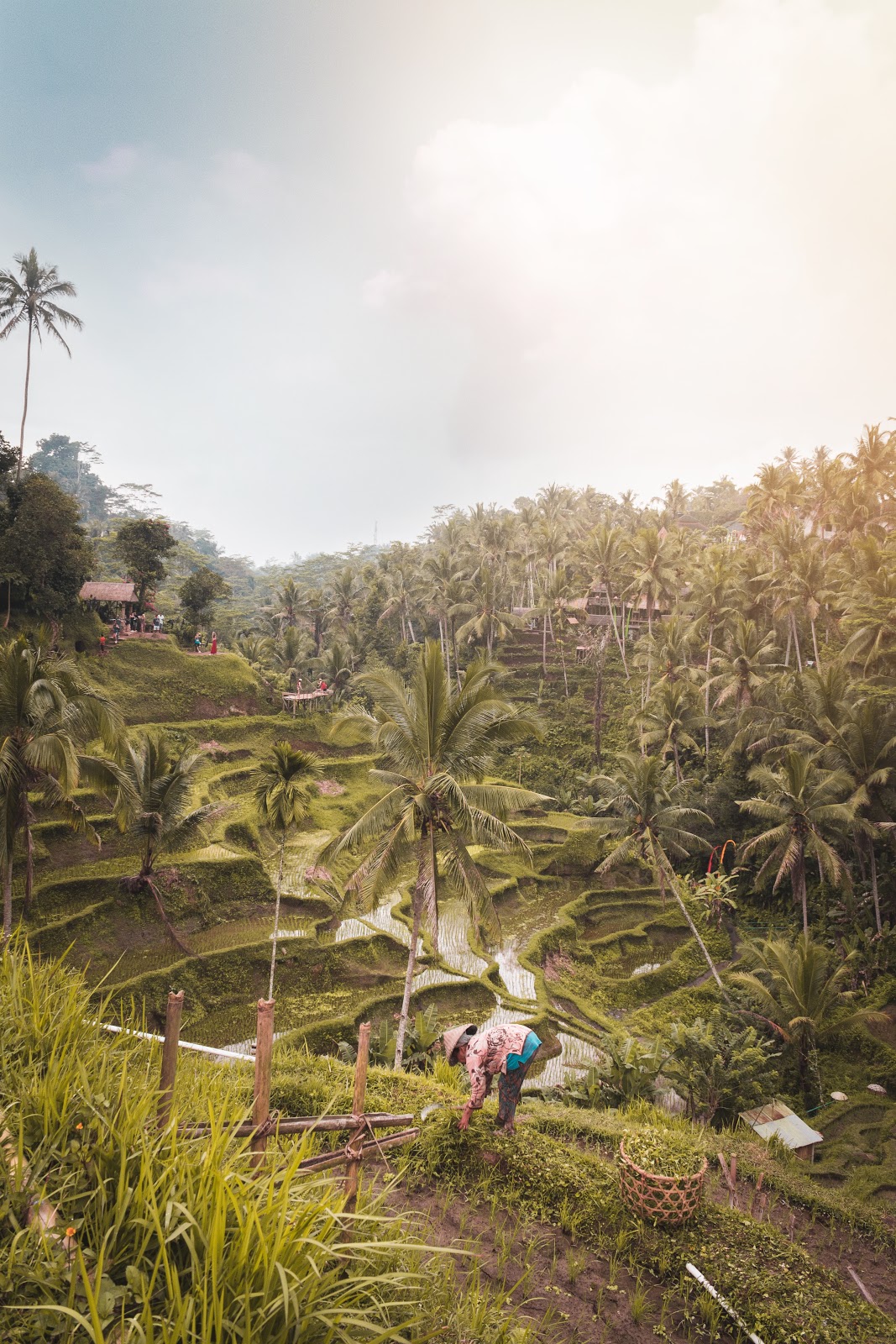 Ubud Bali