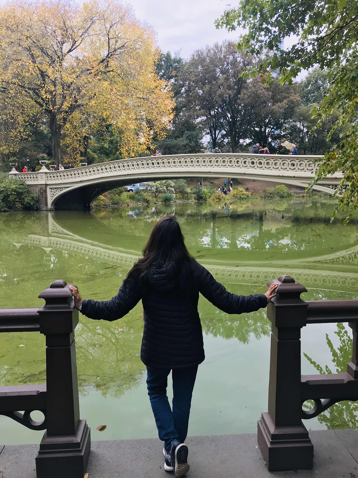 Bow bridge - Central Park