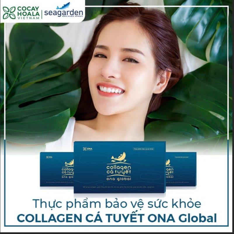 http://collagencatuyet.vn/wp-content/uploads/2020/11/collagen-loai-nao-tot-801x800.jpg