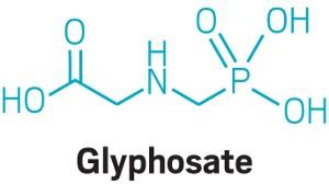 Glyphosate is not carcinogenic, US EPA says