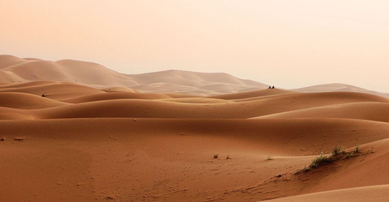 Desert Dreams Explore Arid Wonders