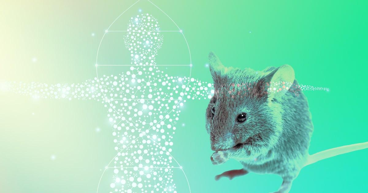 Why Make a Humanized Mouse? | ingenious targeting laboratory