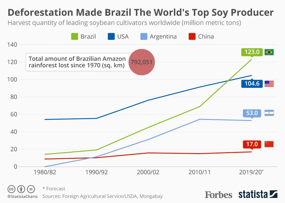 Deforestation Made Brazil The World's Top Soy Producer 