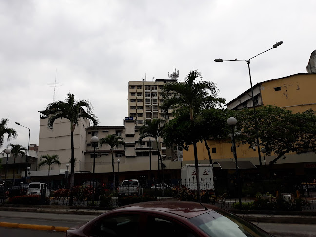 Parqueos Olmedo 2 - Guayaquil