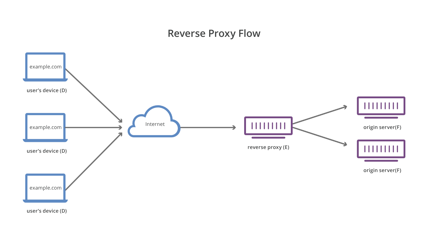 Philadelphia lever mikro Reverse Proxies: Overview, Benefits and Risks