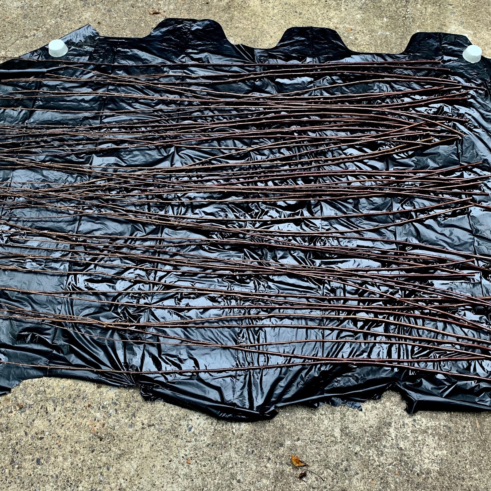 twigs laying across tarp ready for spraying urethane
