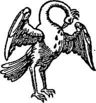 D:\0 wd yedek\acr yedek\1 film indirme\encyclopedia_symbols_roshal\encylopedia_files\000210.jpg