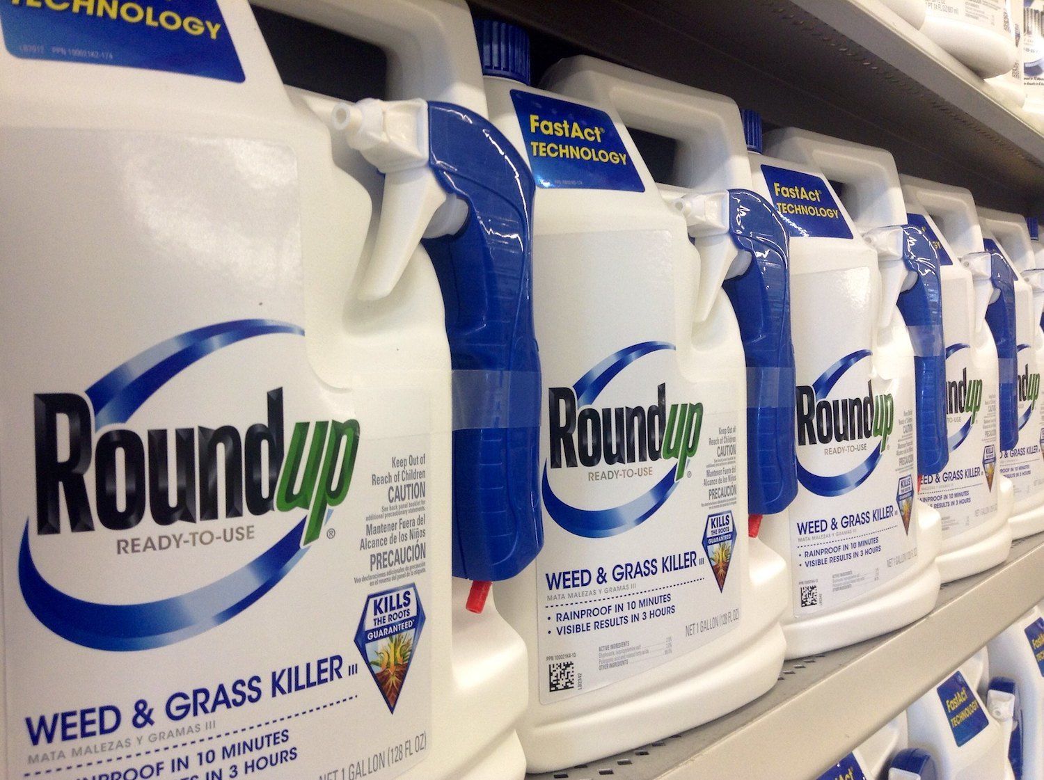 How Roundup Works