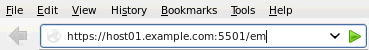 http://www.oracle.com/webfolder/technetwork/tutorials/obe/db/12c/r1/2day_dba/12cr1db_ch3emexp/images/em_url_noncdb.gif
