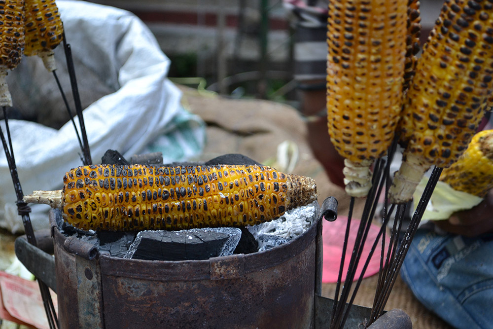 ENJOY CORN WITH A VIEW OF THE LAKE 