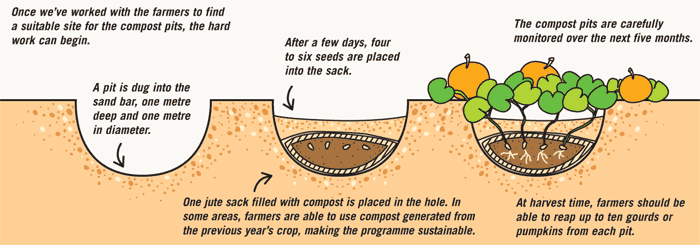 growing pumpkin in sand bar pits.gif