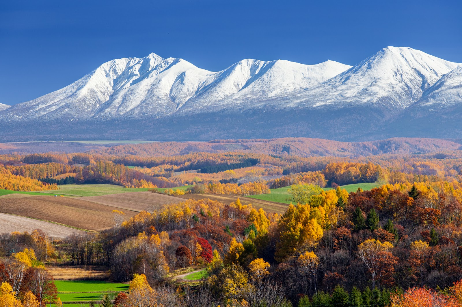 大雪山