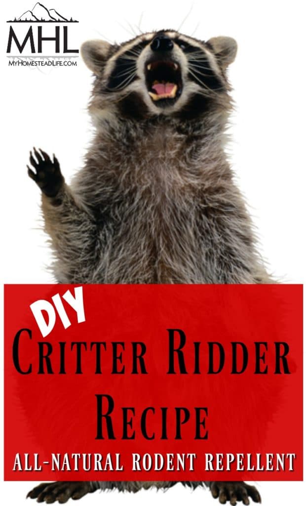 DIY Critter Ridder Recipe-Natural Rodent Repellent