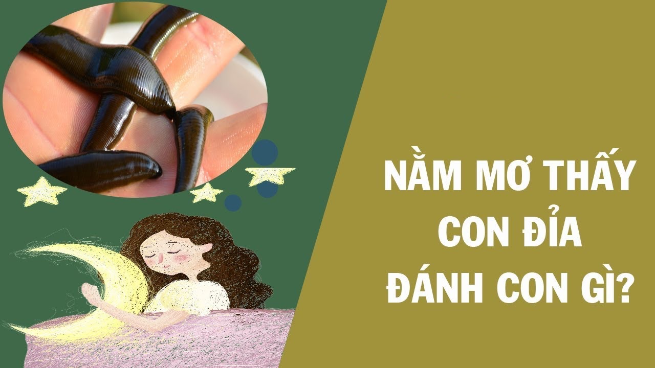 Giải mã giấc mơ thấy đỉa là điềm lành hay dữ