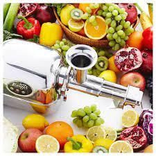 Angel Cold Press Juicer