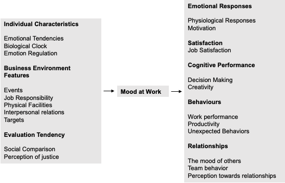 Emotion Regulation at Work  People
